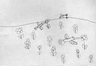Boy drawing flying birds pencil
